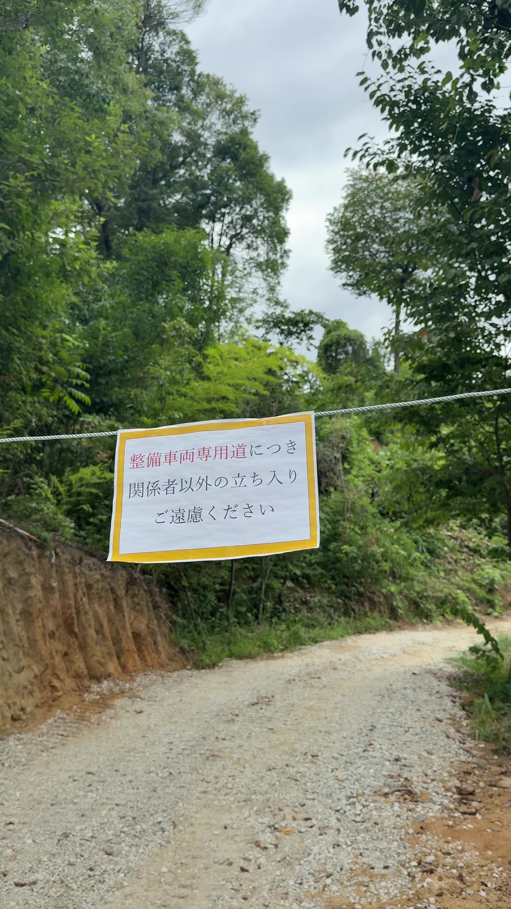 @ひろと / 大阪発!関西トレンド独占旅🔥