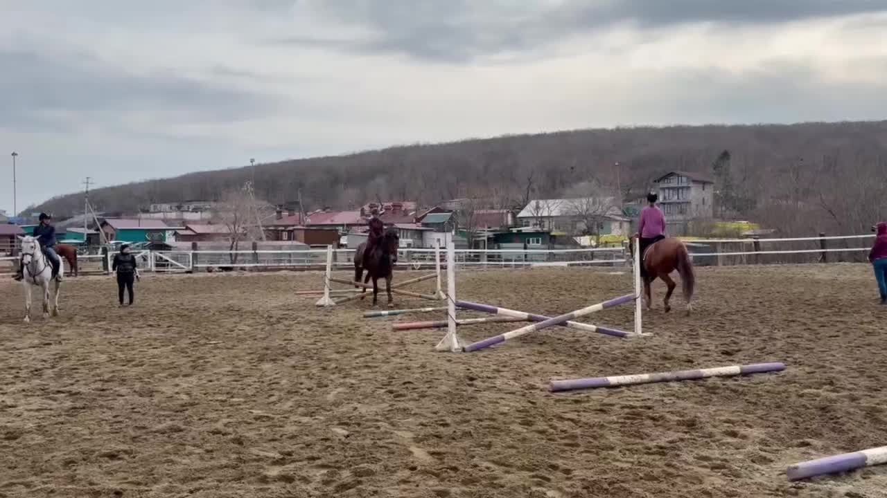 @🐴🤎