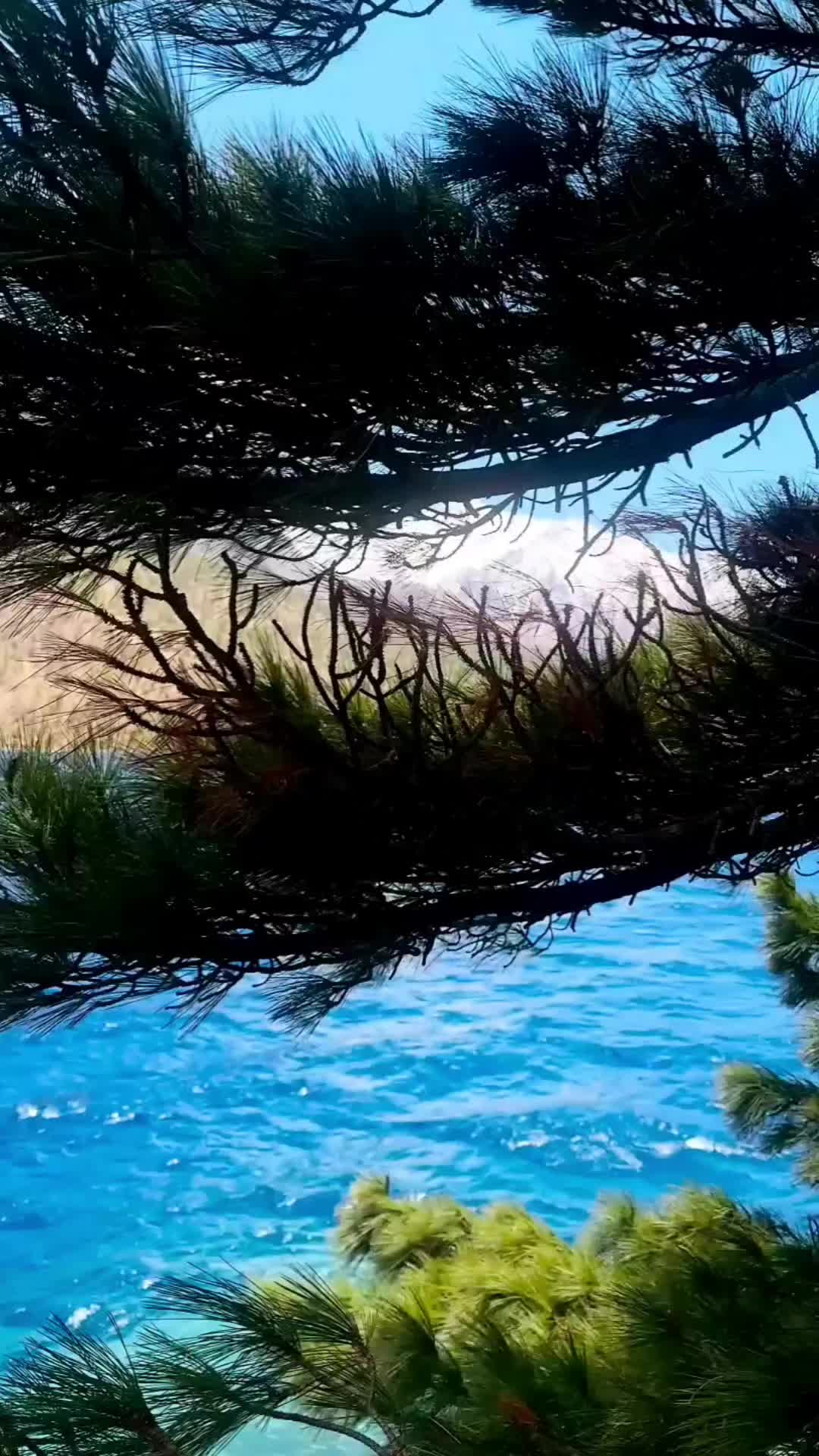 @FromEverest