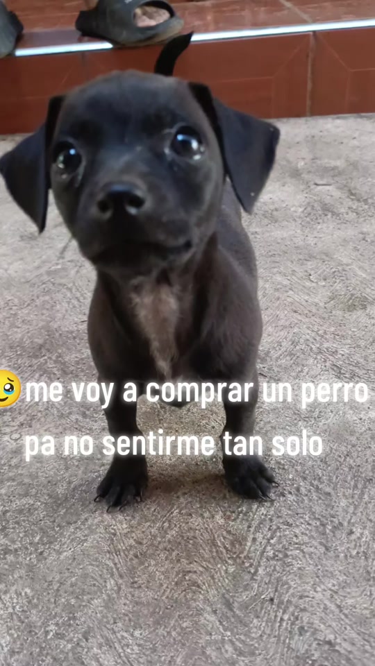 @Manu
