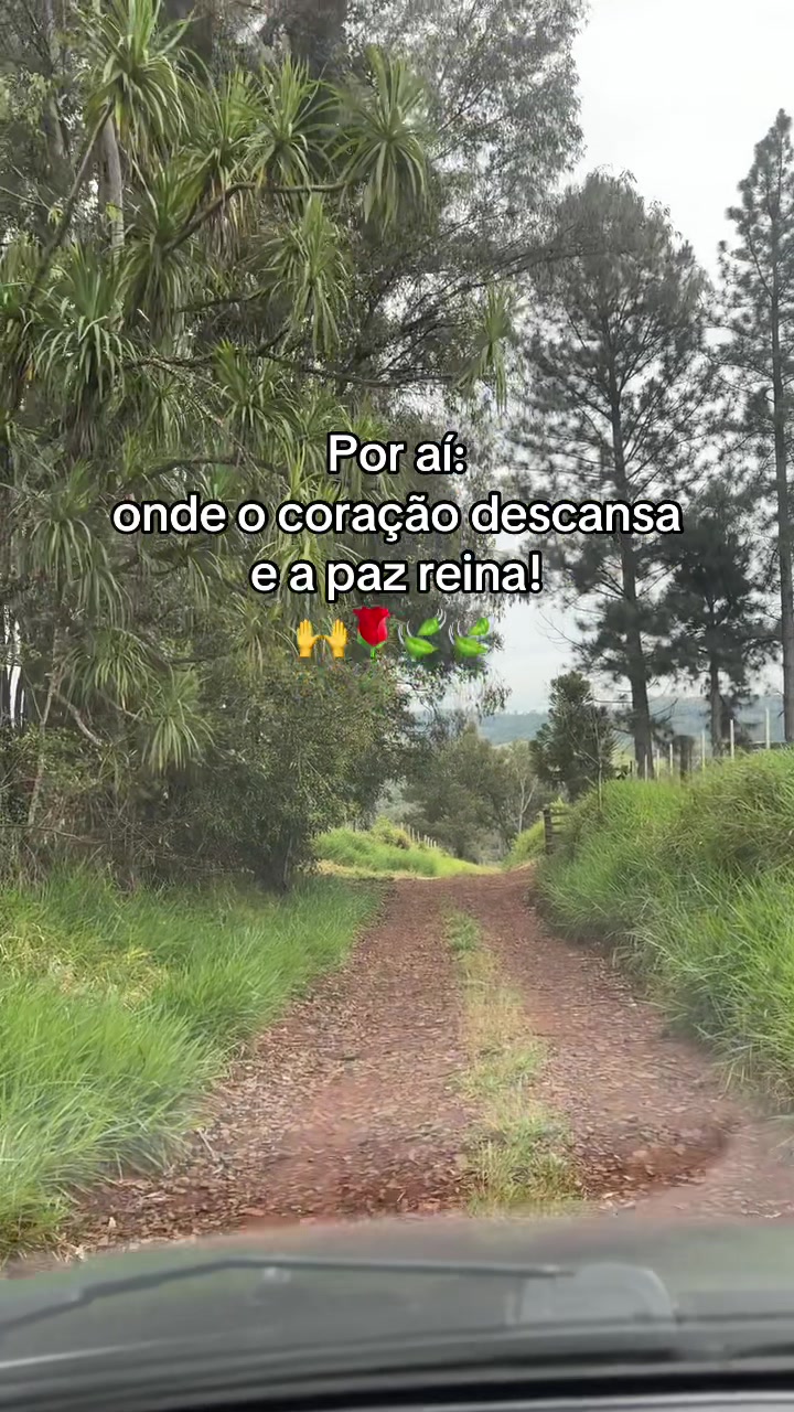 @Adriele Caldeira