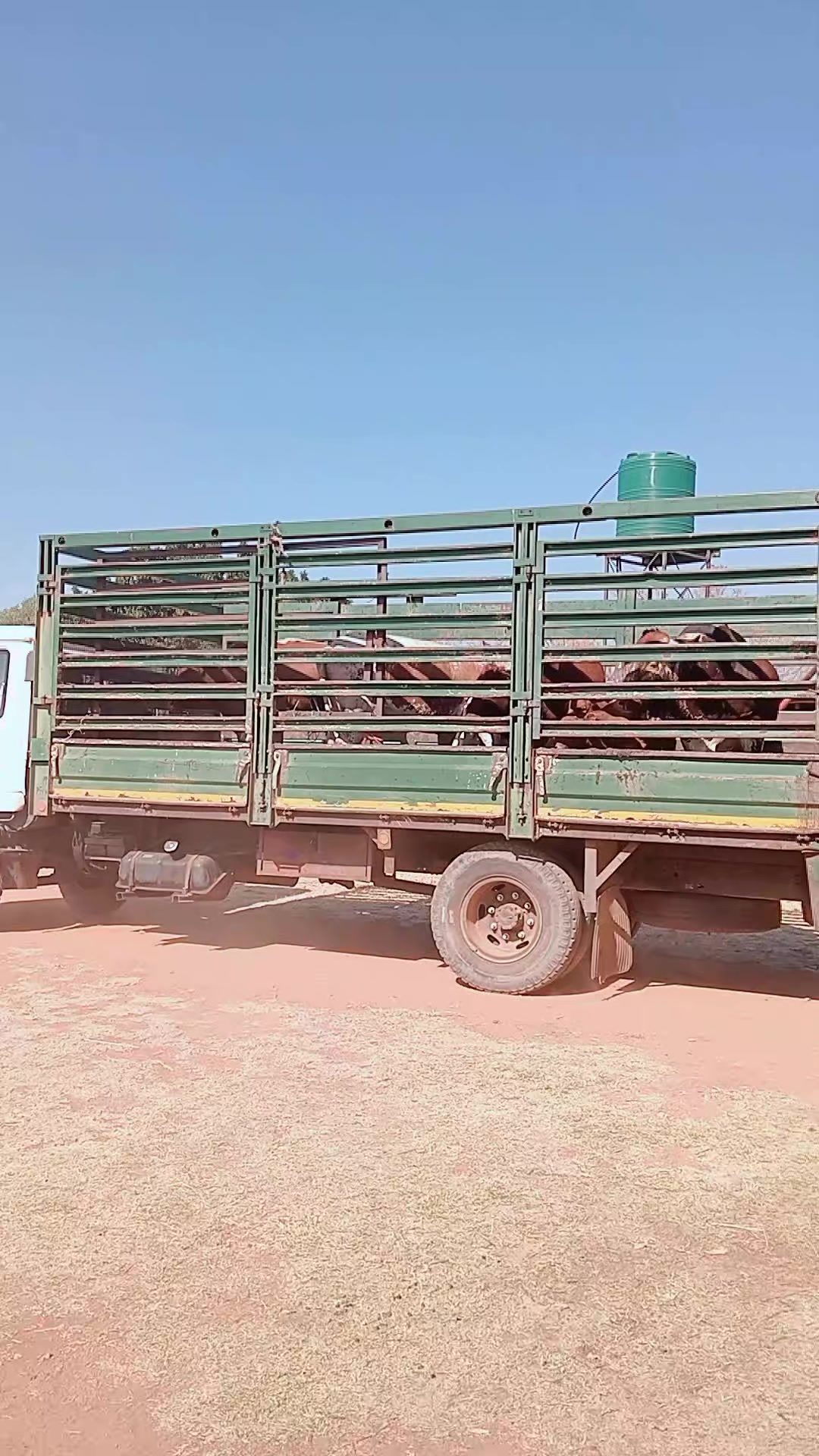 @The maverickagribusiness