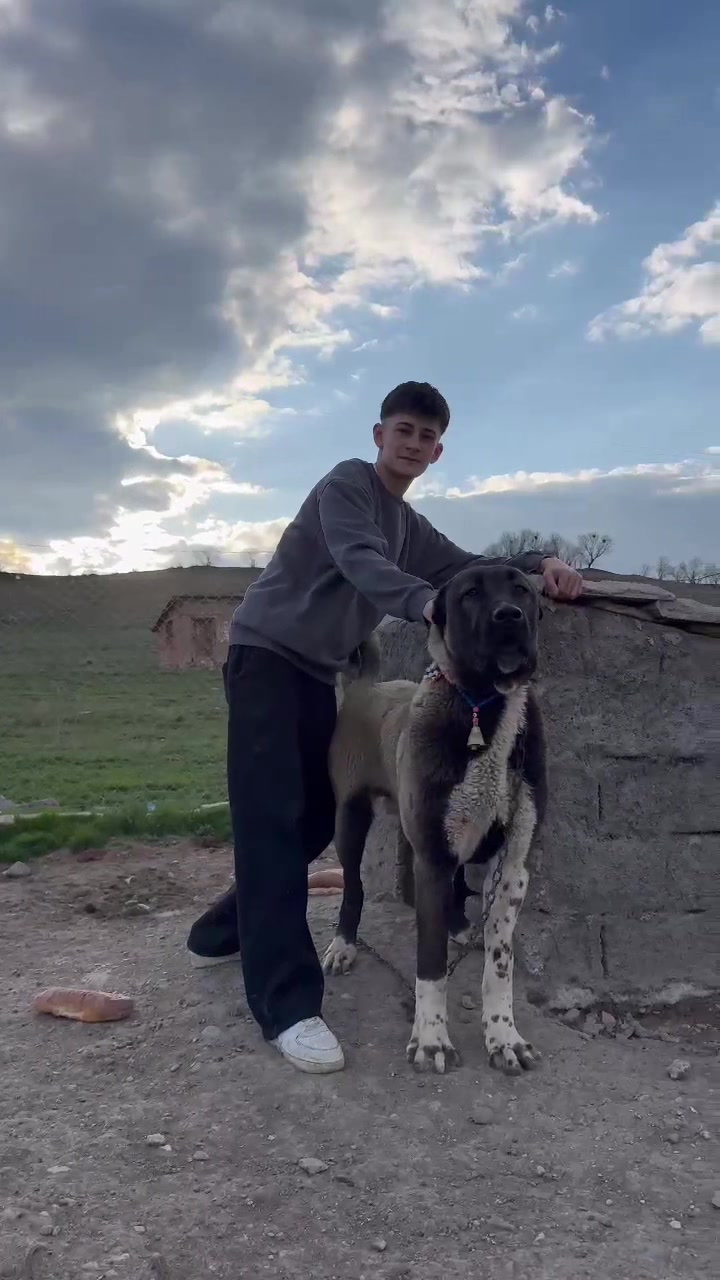 @Efe’nin KaraAslanları