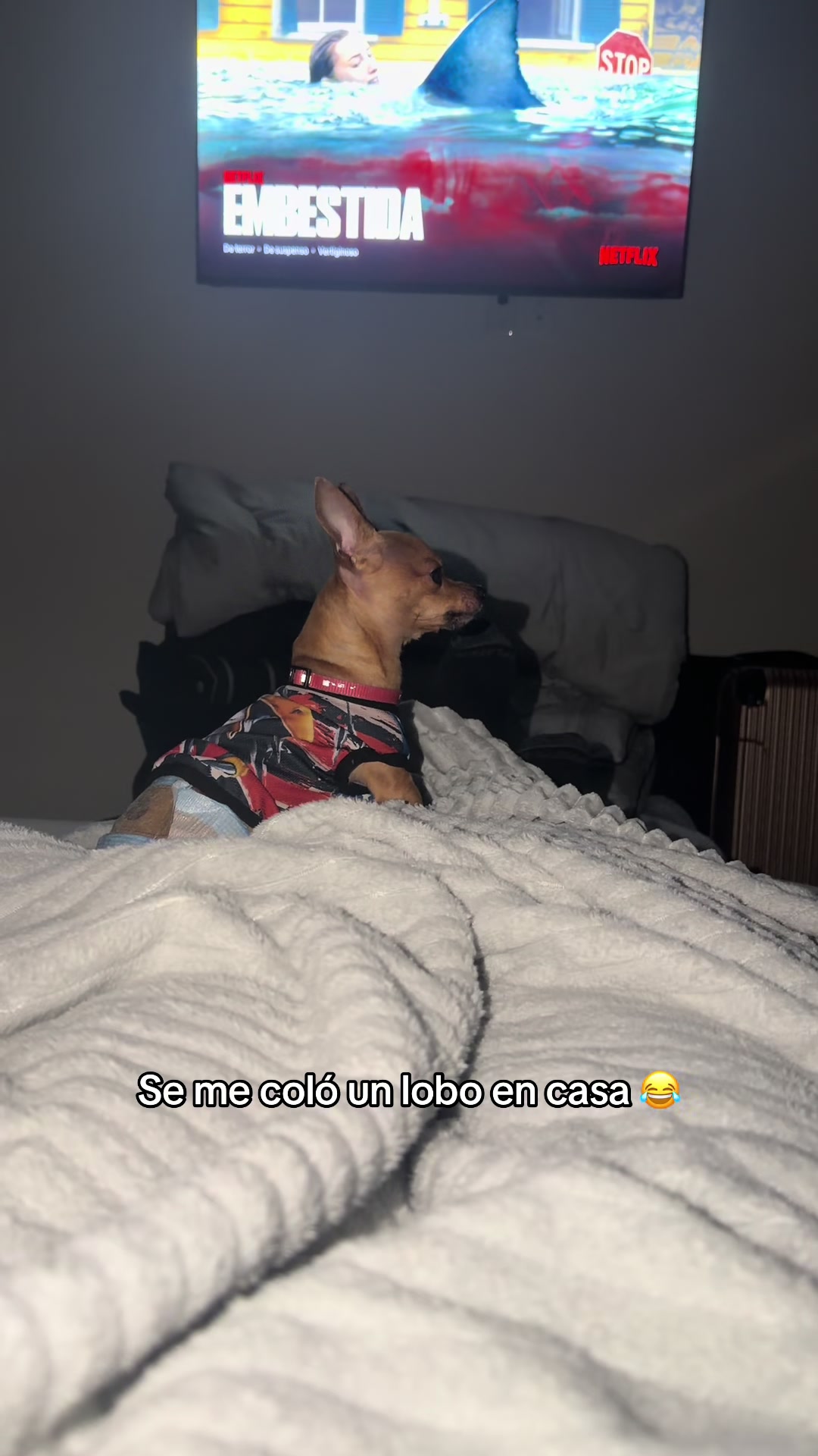 @Gloria Hernandez