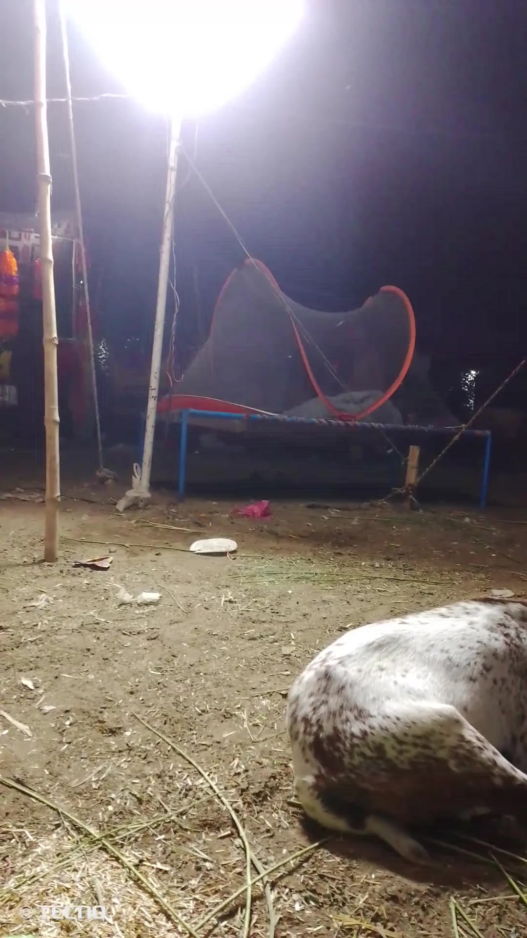@⚜️وقاص کہتے ہیں⚜️