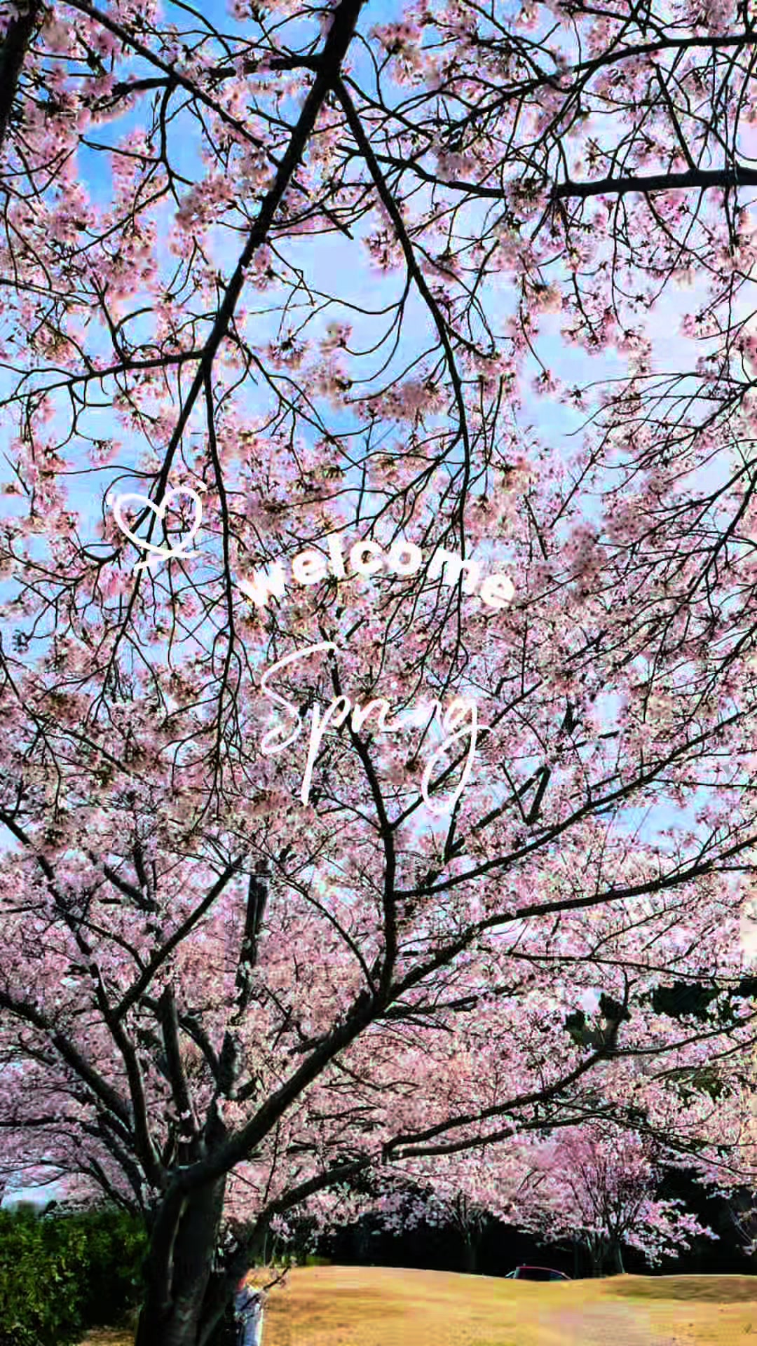 @❤︎**✰︎*まぁ*✰︎**❤︎