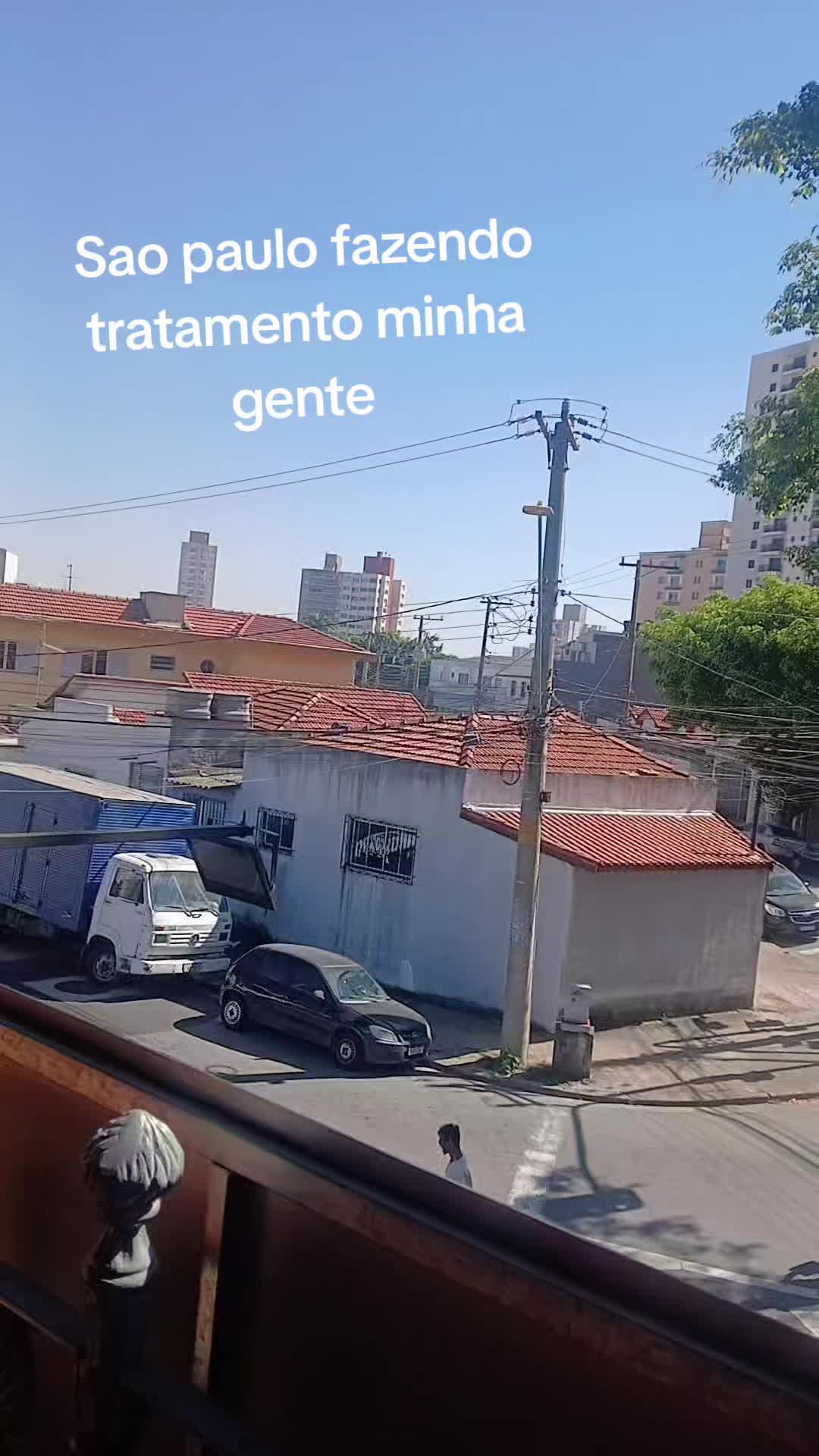 @Fenix das cinzas