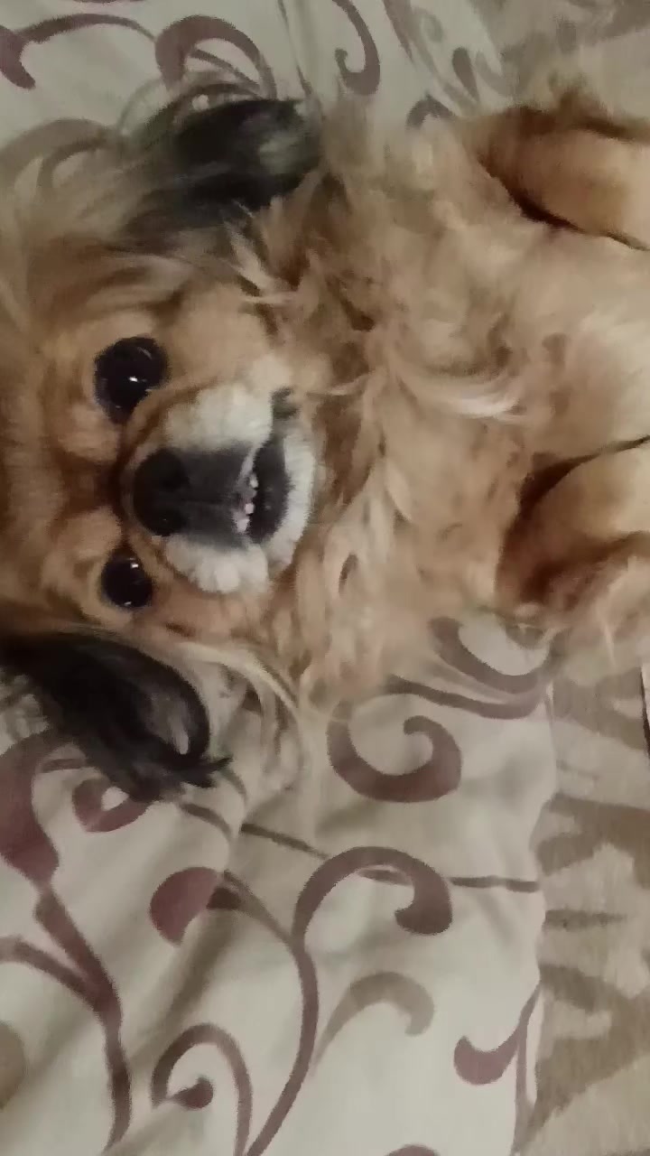 @Взаимная💯💋♥️