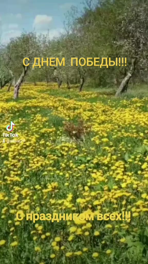 @Светлана
