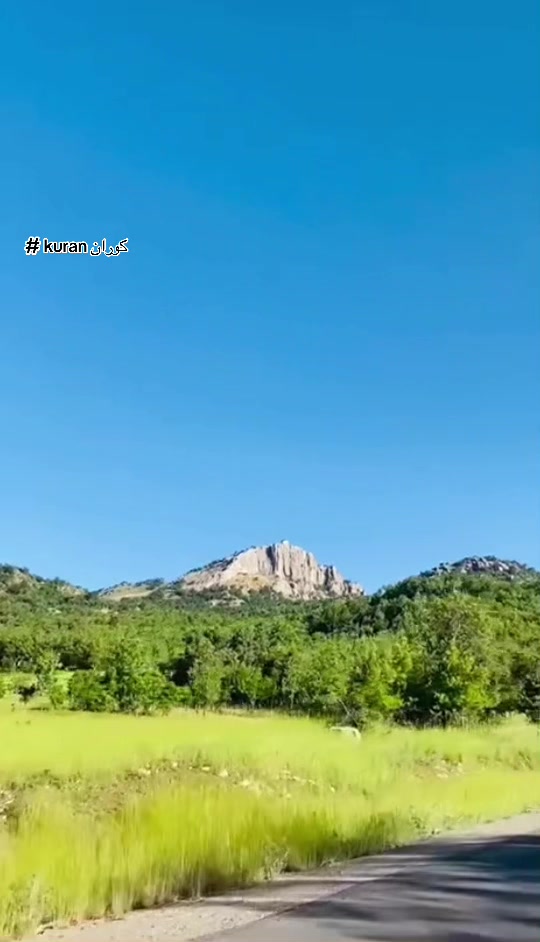 @گوندی کوران دەڤەرا مزوری بالا