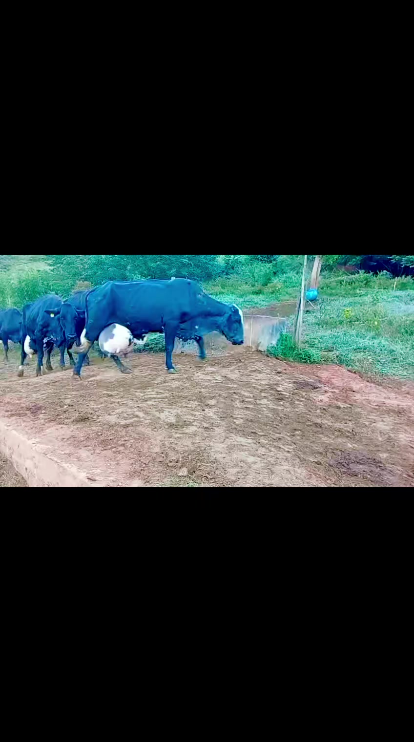@Fazenda Santa Rosa