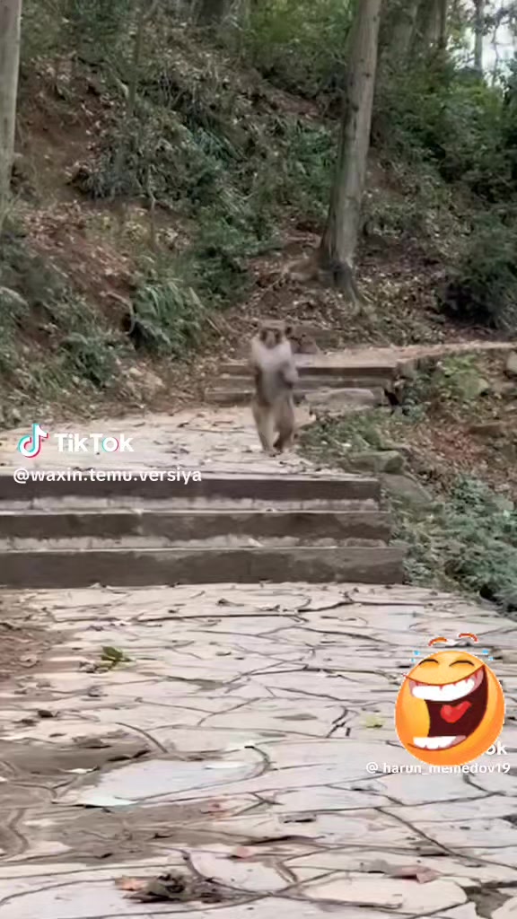 @🅱️OLYA