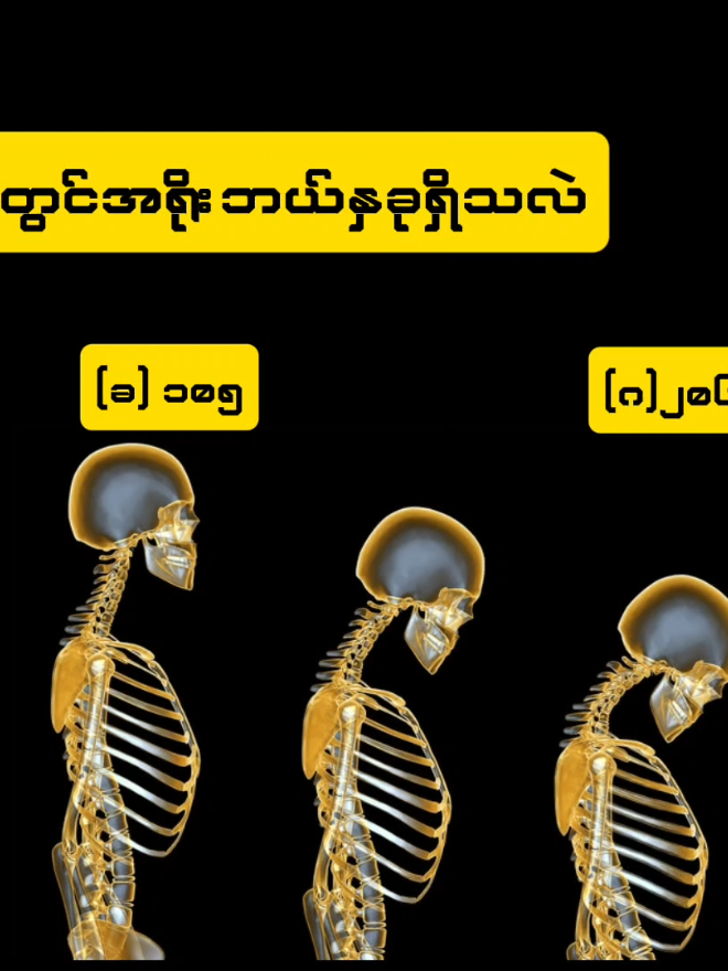 @Lunex