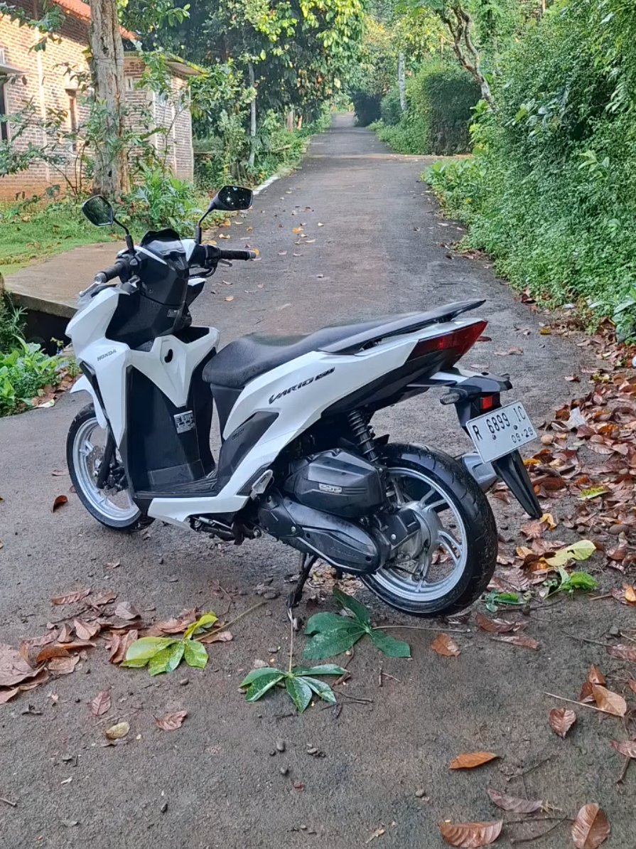 @Alia Motor