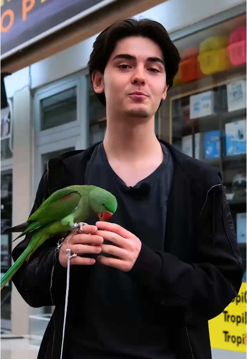 @KANMAZ PETSHOP