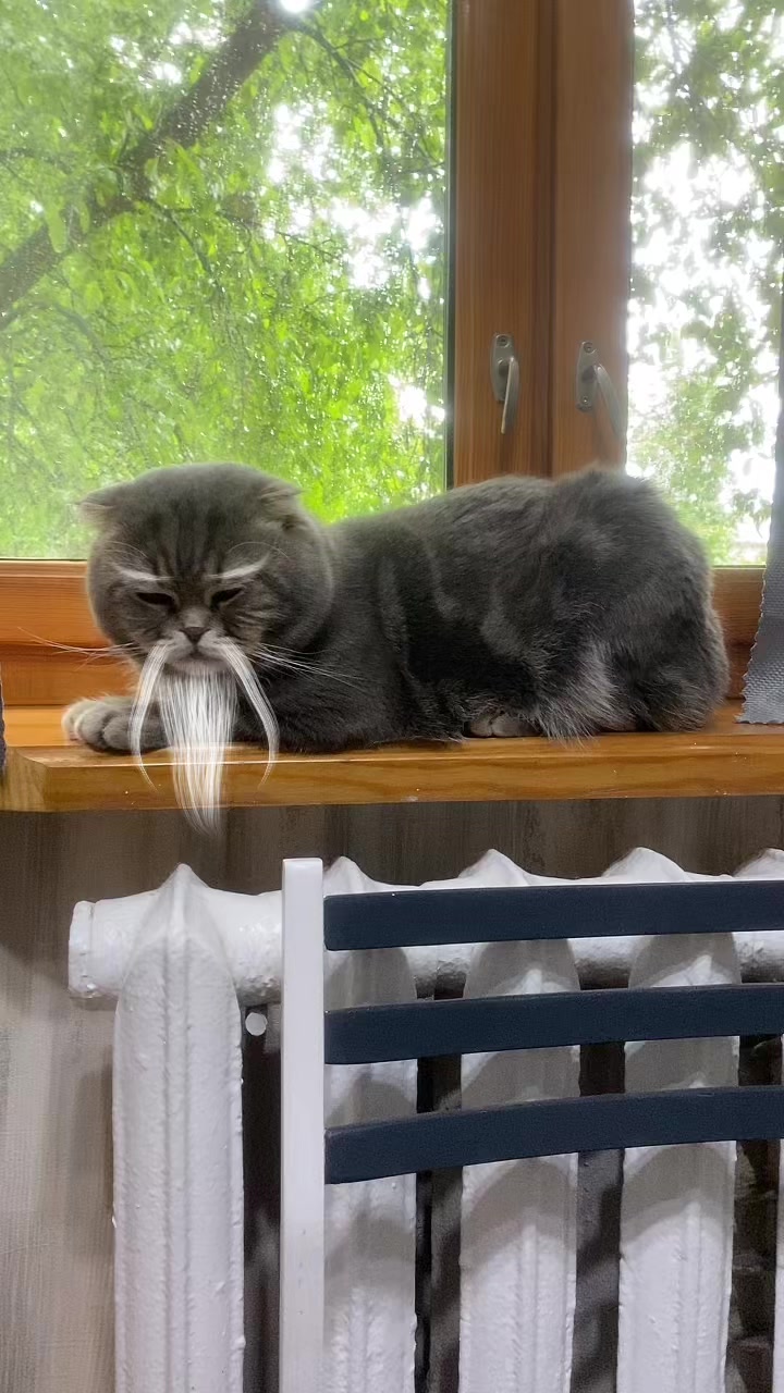 @Елена Николаева