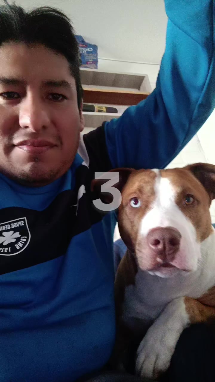 @Luisitolibra