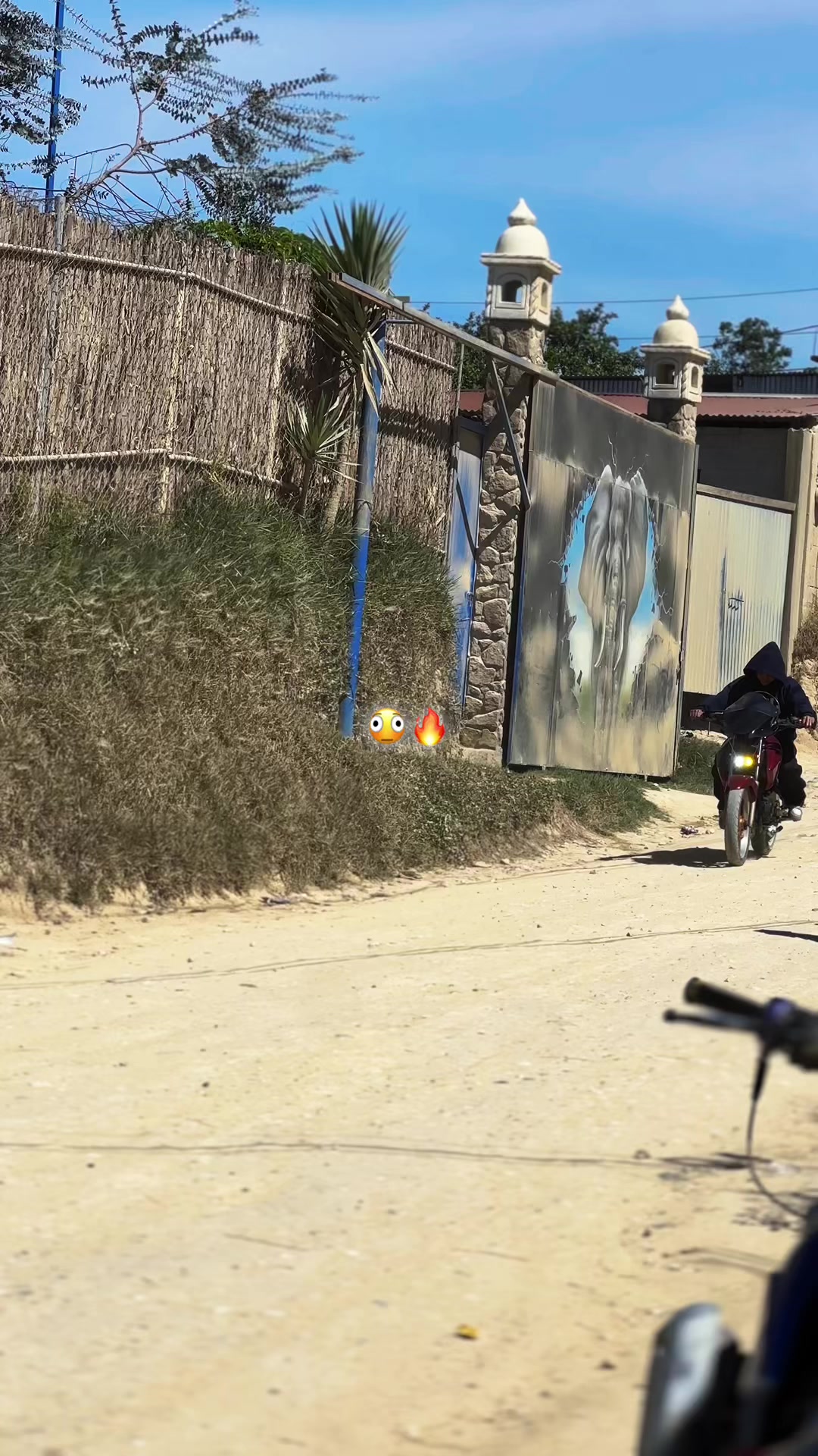 @angel.cg_46