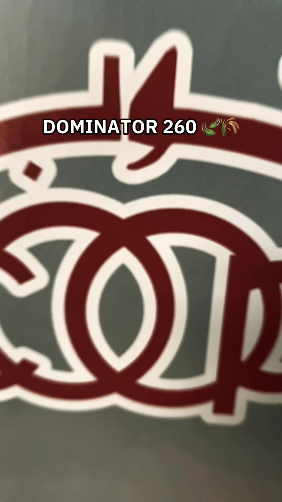@إسلام بن مهذب