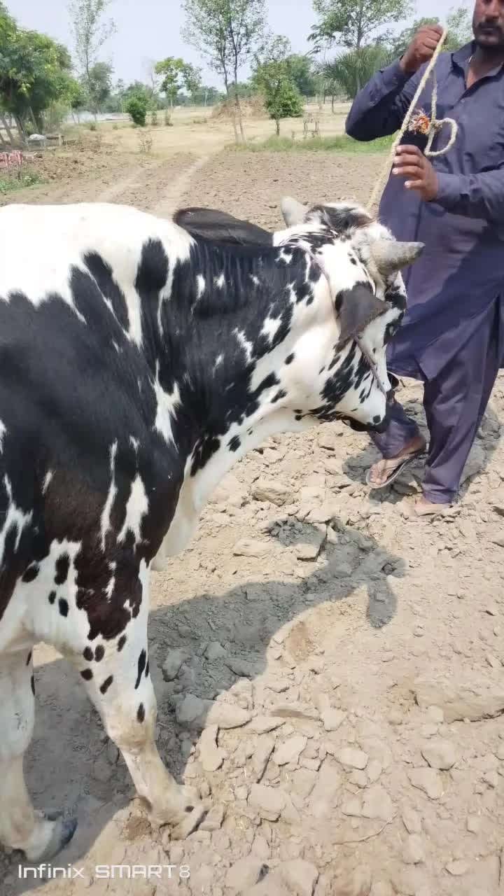 @sohailpanwar