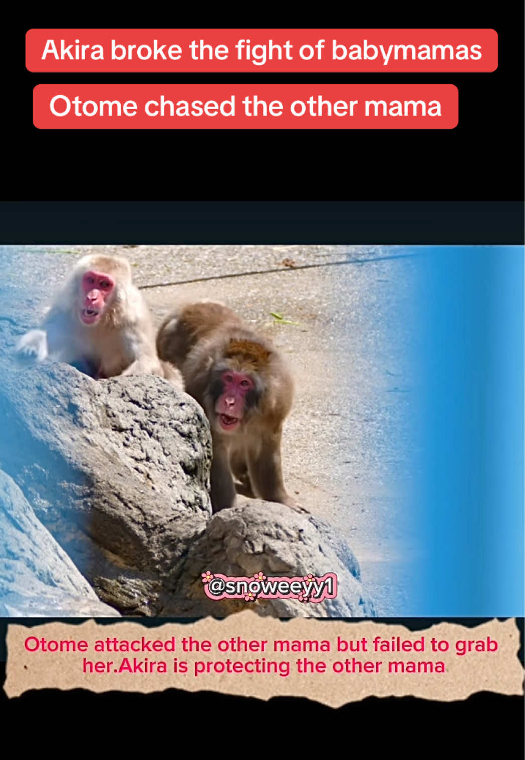 @Snoweeyy