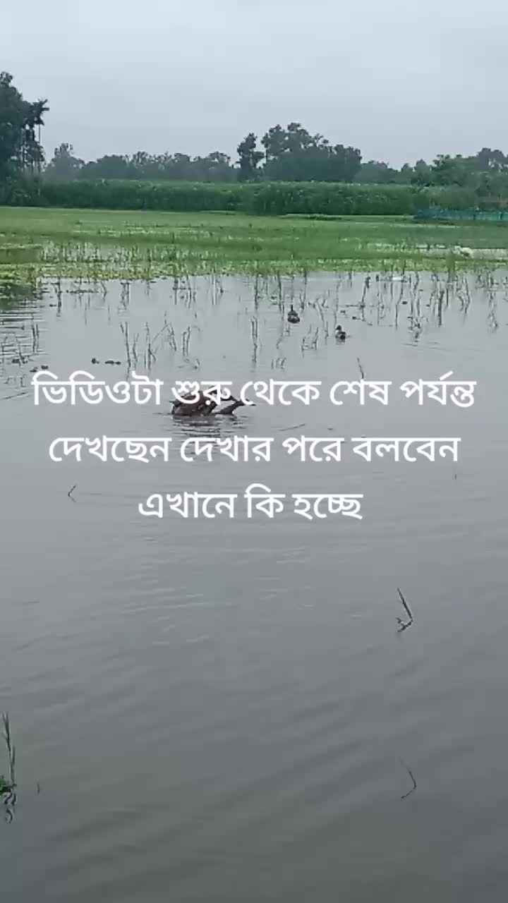 @🪴🪴 Md Abutaher 🪴🪴