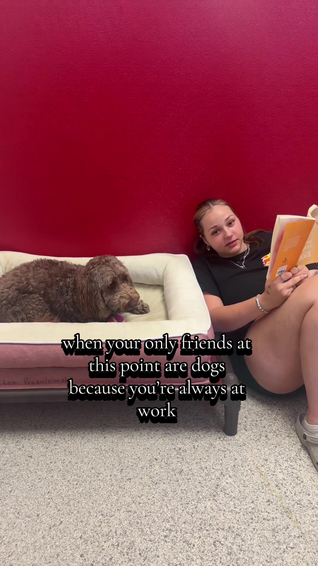 @The Dog Stop, Stuart FL๐๐พ๐