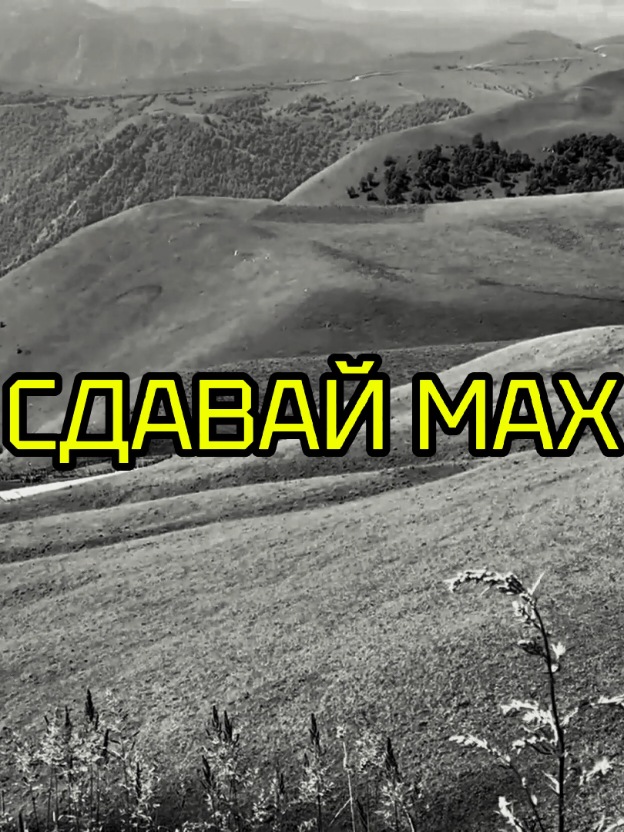 @СДАЧА МАКС⚡️