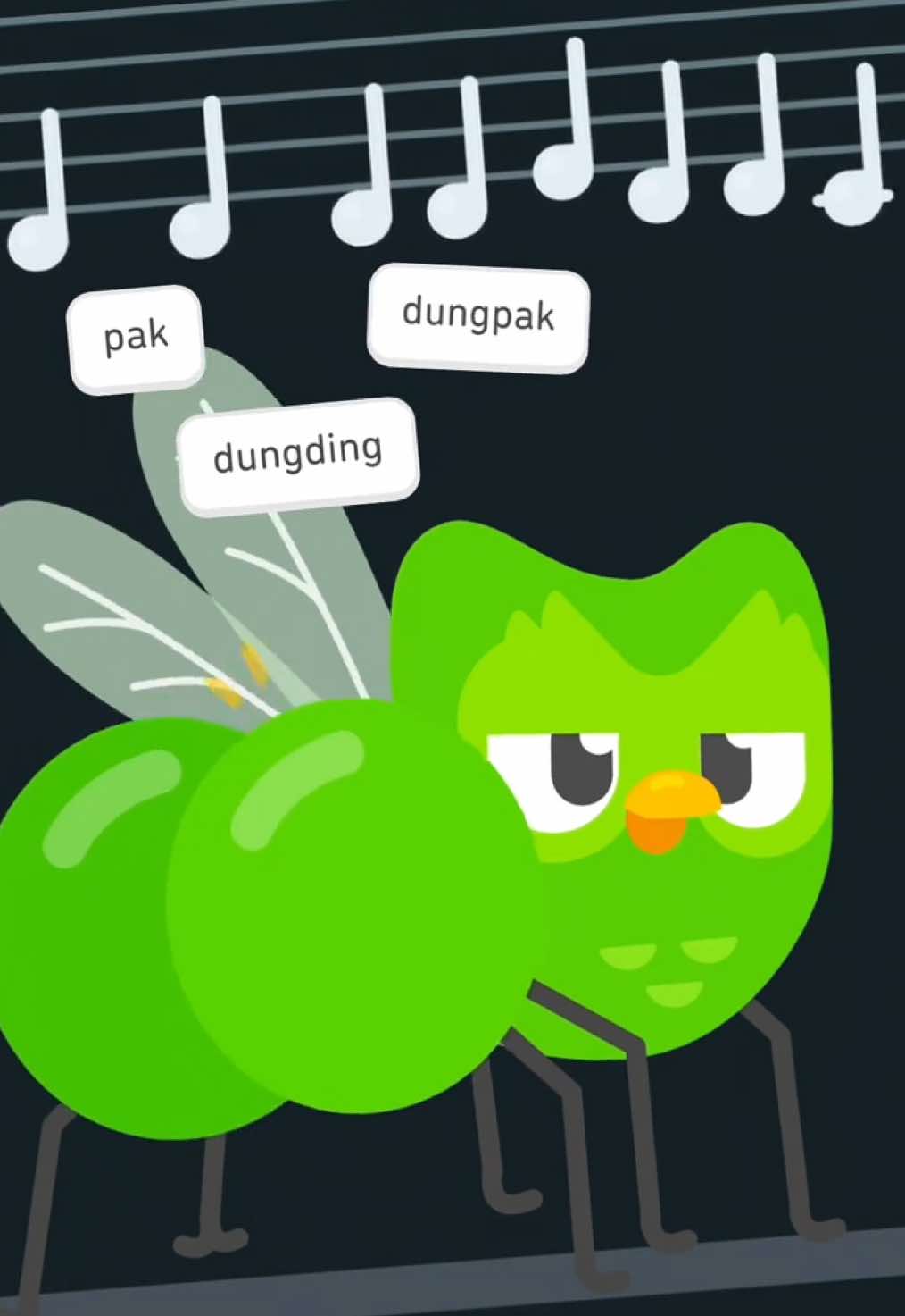 @Duolingo