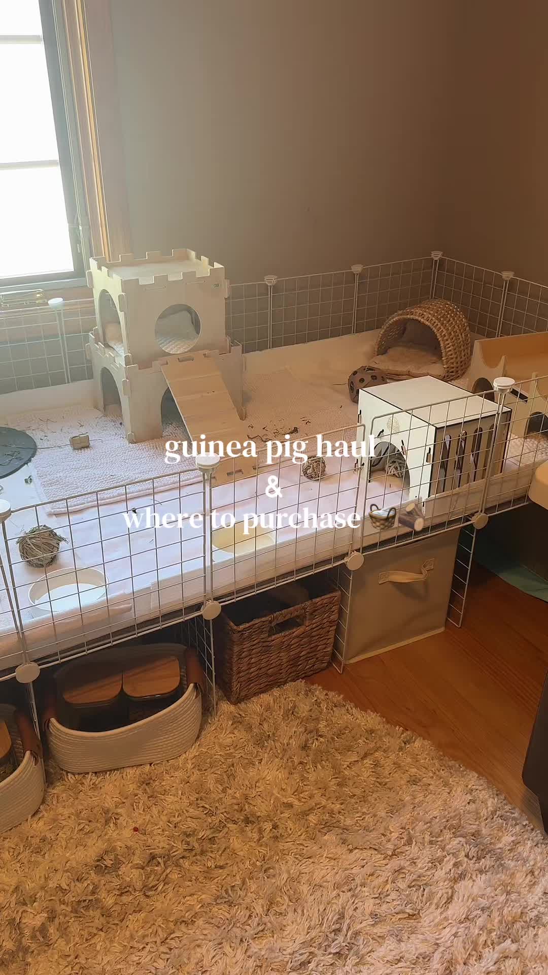 @alexa🤍🐾