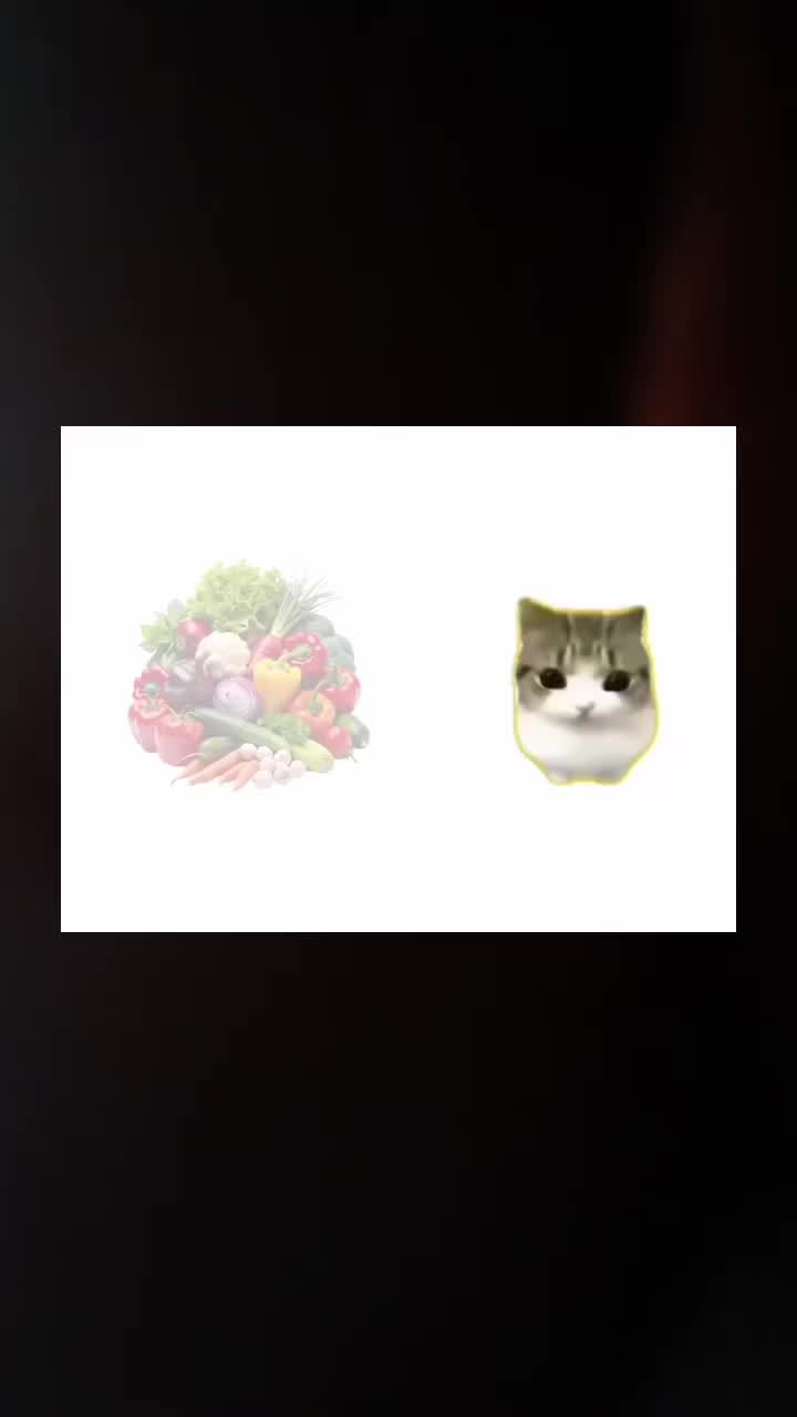 @soraya🌷
