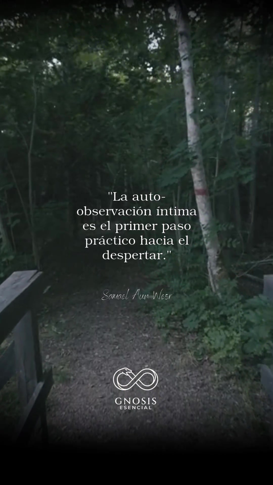 @Conocimiento Escencial