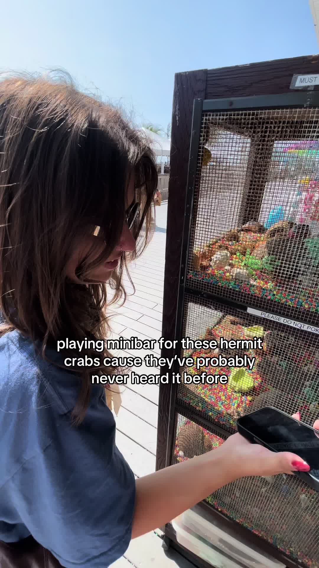 @kayla 🐞