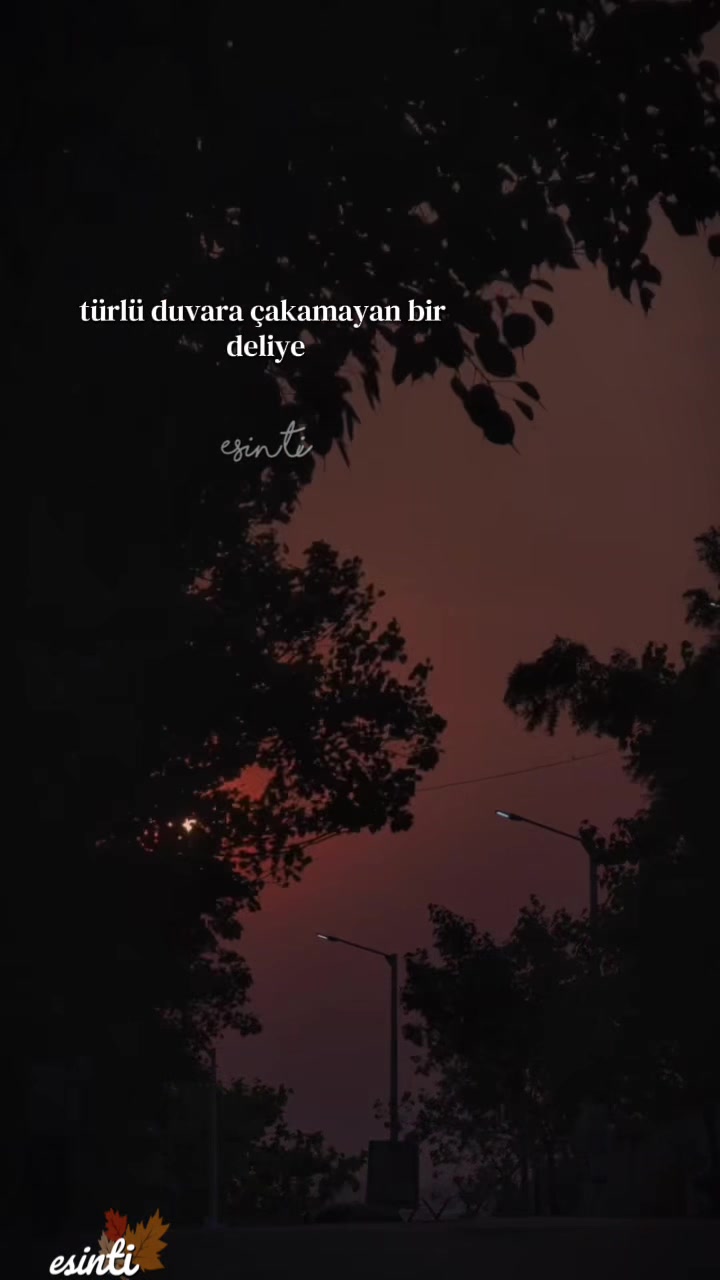 @༄༄𝓔𝓼𝓲𝓷𝓽𝓲༄༄