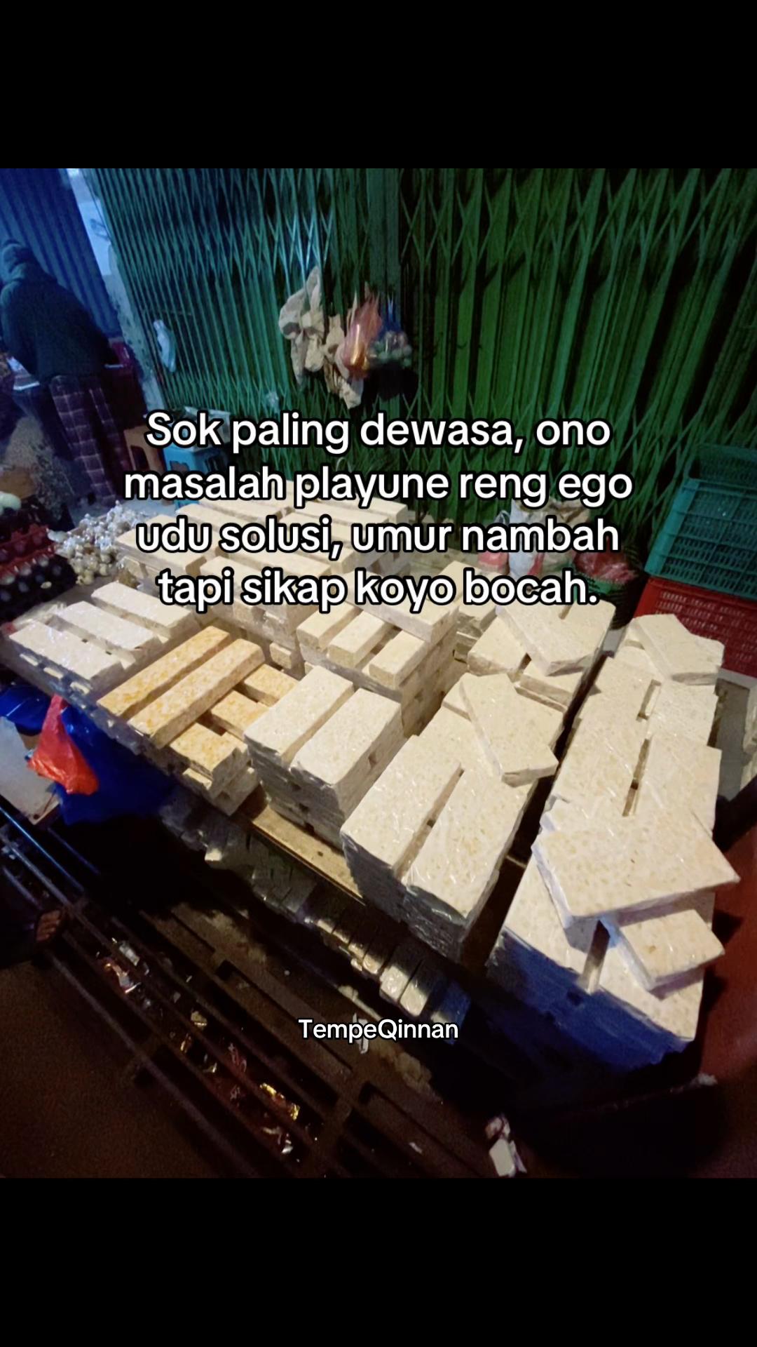 @Tempe QINNAN