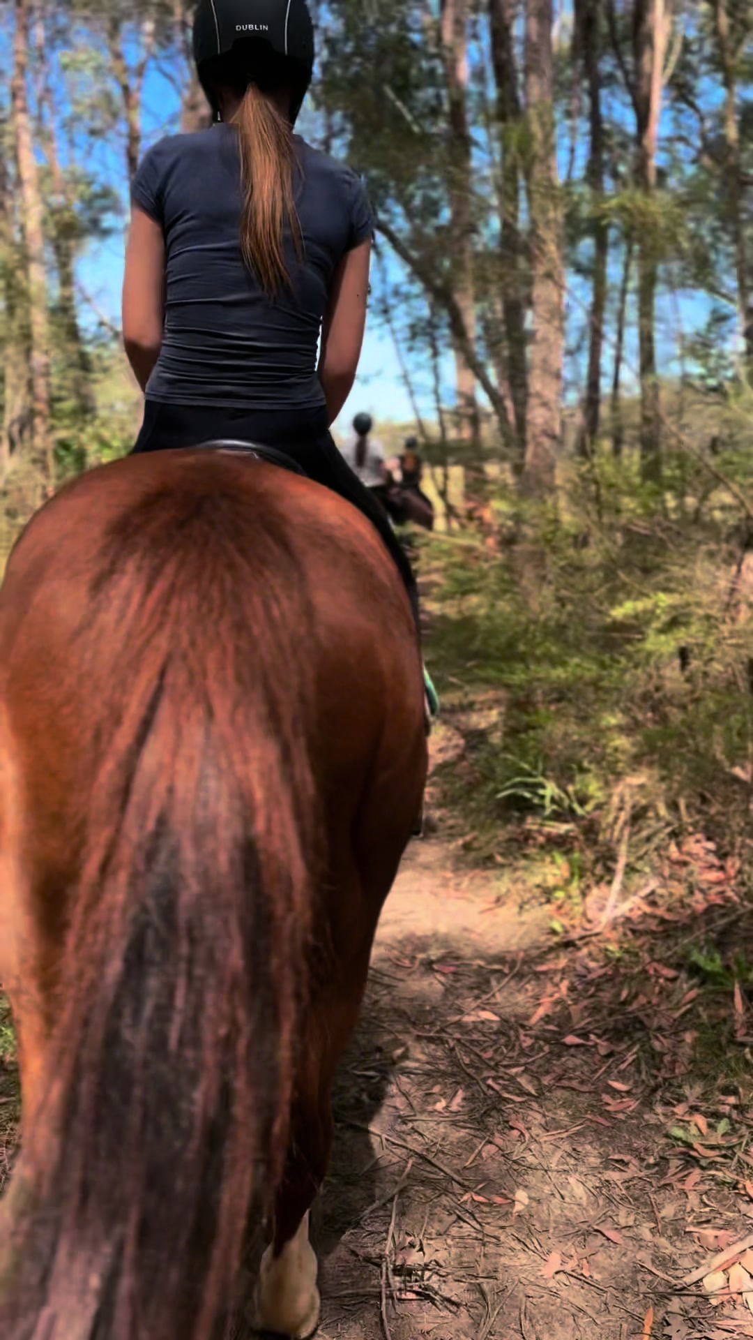 @EPEC - Horse riding centre