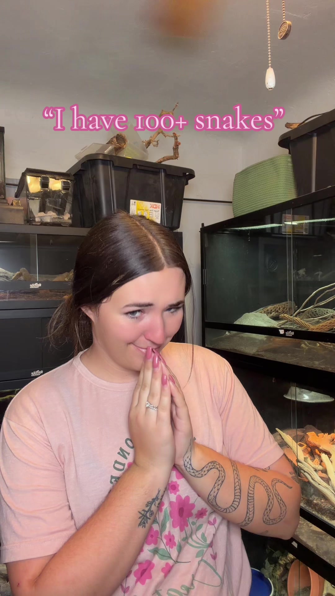@Katie | my personal zoo 🦎🐰