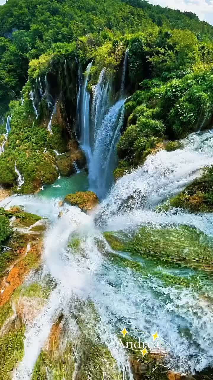 @andreacorsi298