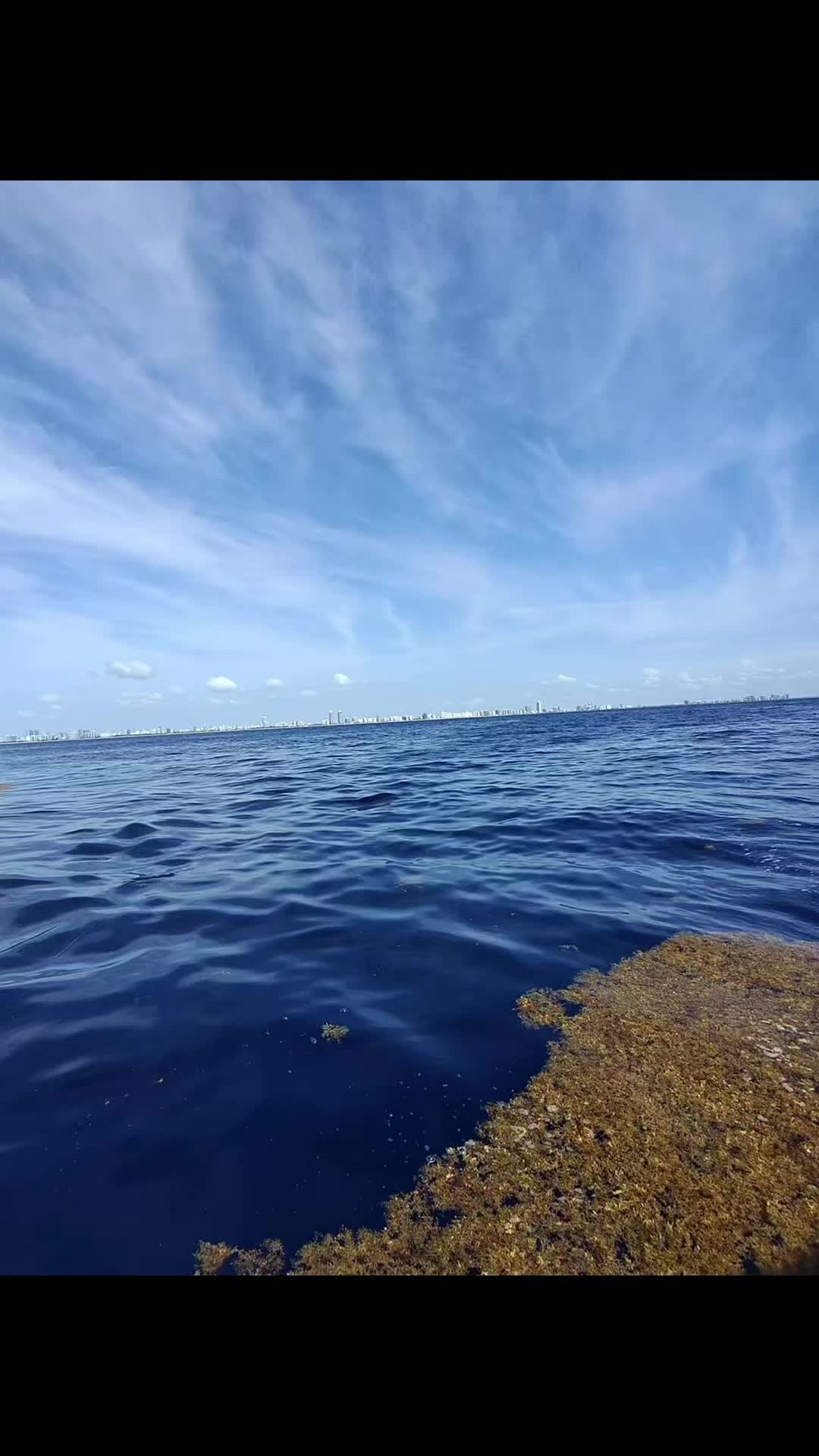 @captainjaxmiami