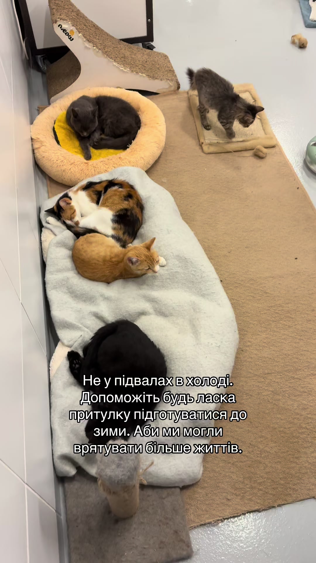 @Прихисток 🏡🐕🐈