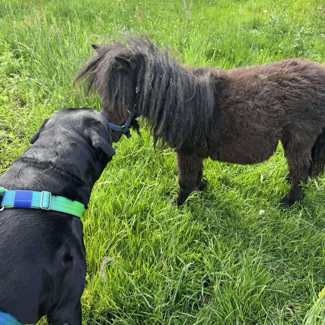 @Saphir🥰🐾
