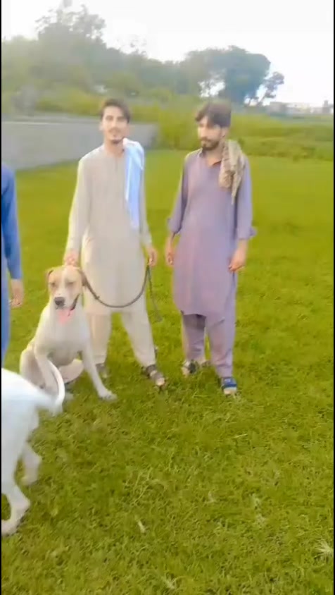 @❣️Farzand ❣️Ali💕🦅