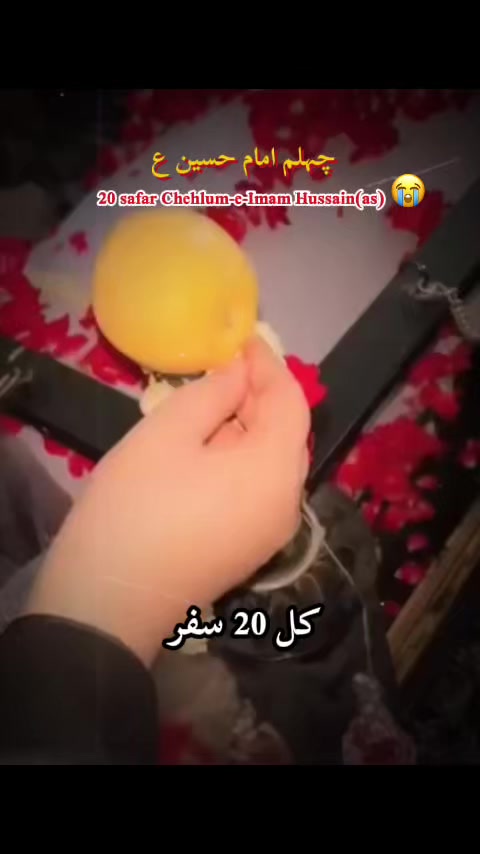 @🍁 ZAHRA Naqvi🍁