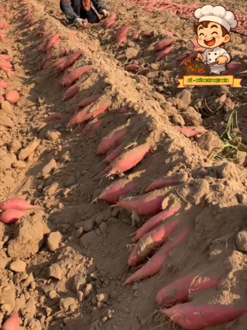 @Đỗ - Mỗi Ngày Một Món