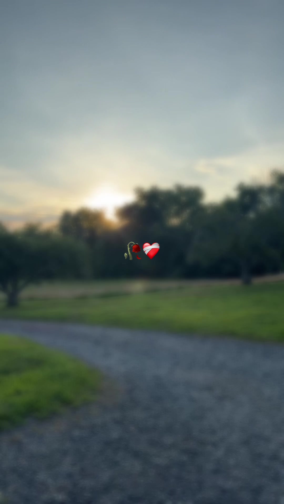 @𝒴𝒶𝓃ℯ𝓉 ッ