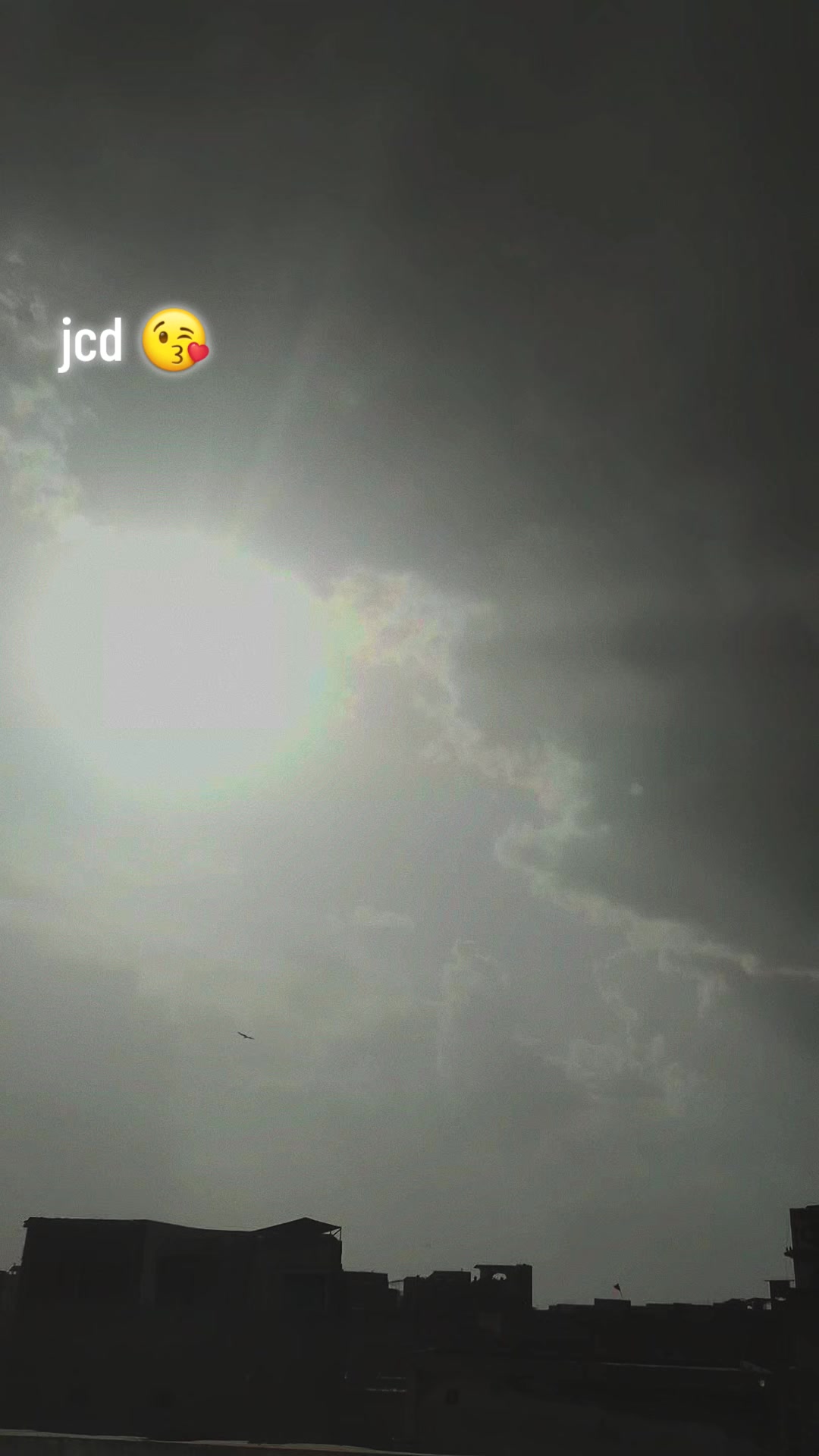 @jcd Queen 007