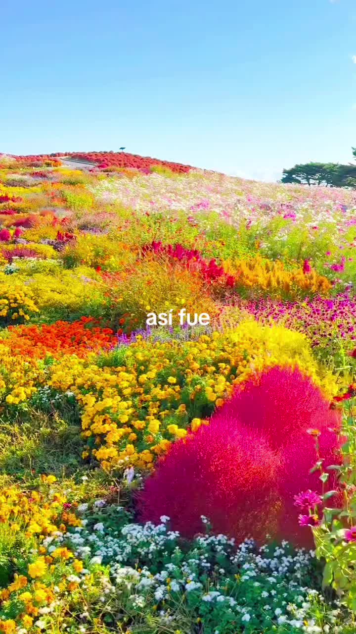 @alex