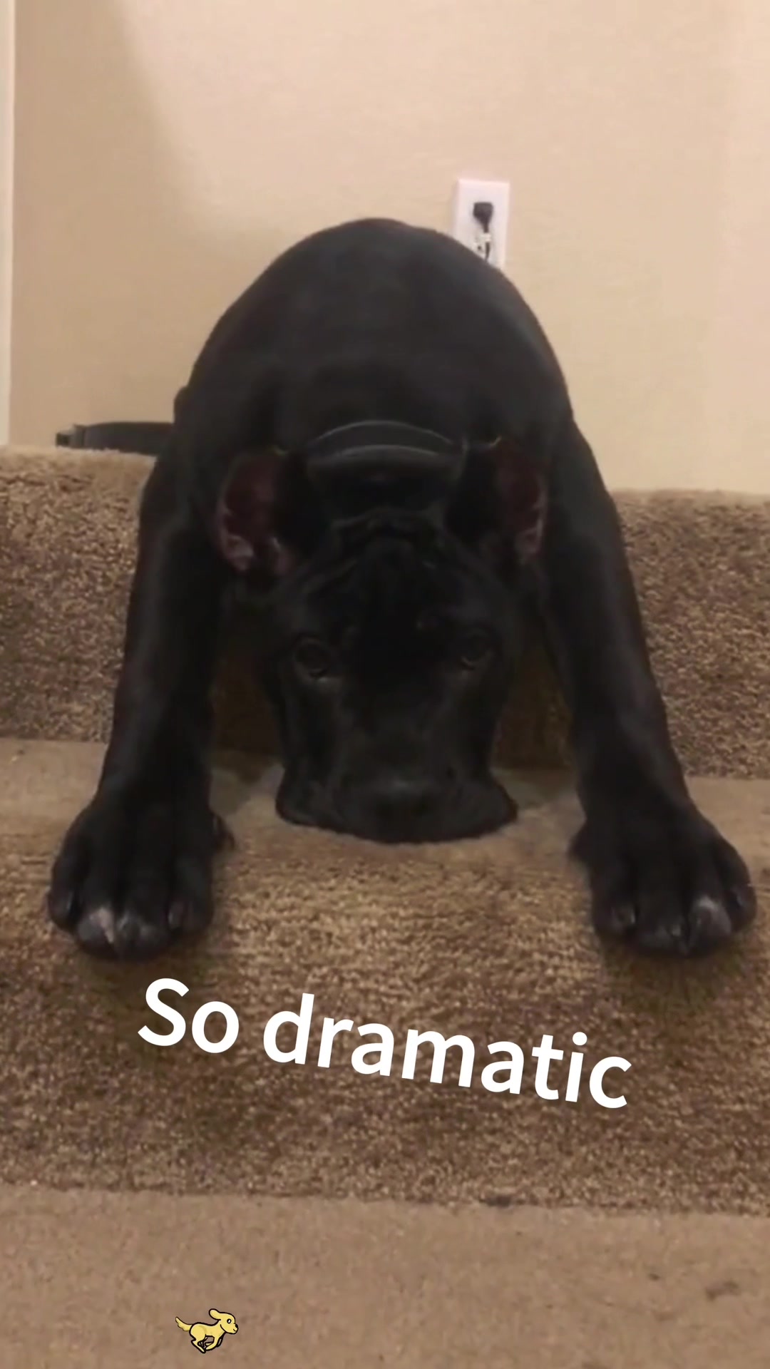 @SneakyFails
