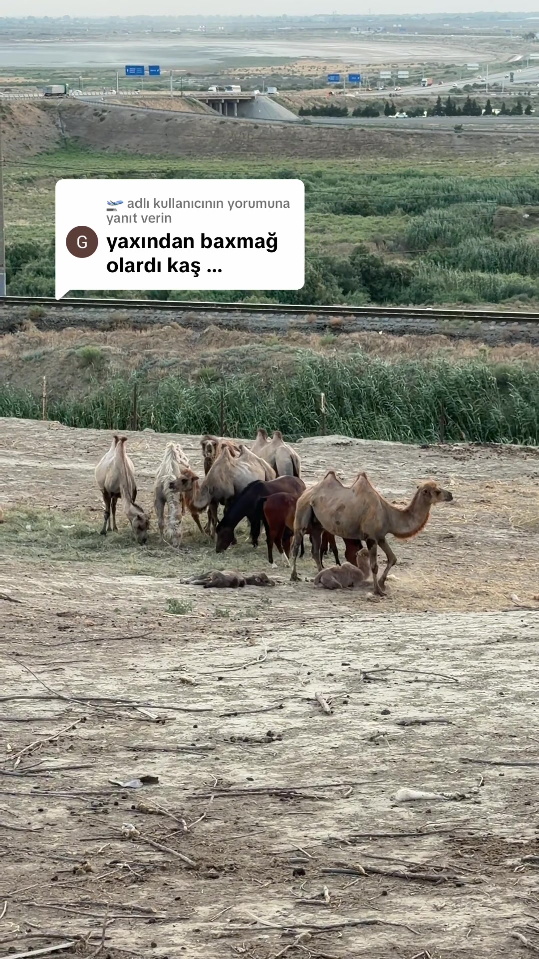 @Qədirxum İstirahət Mərkəzi