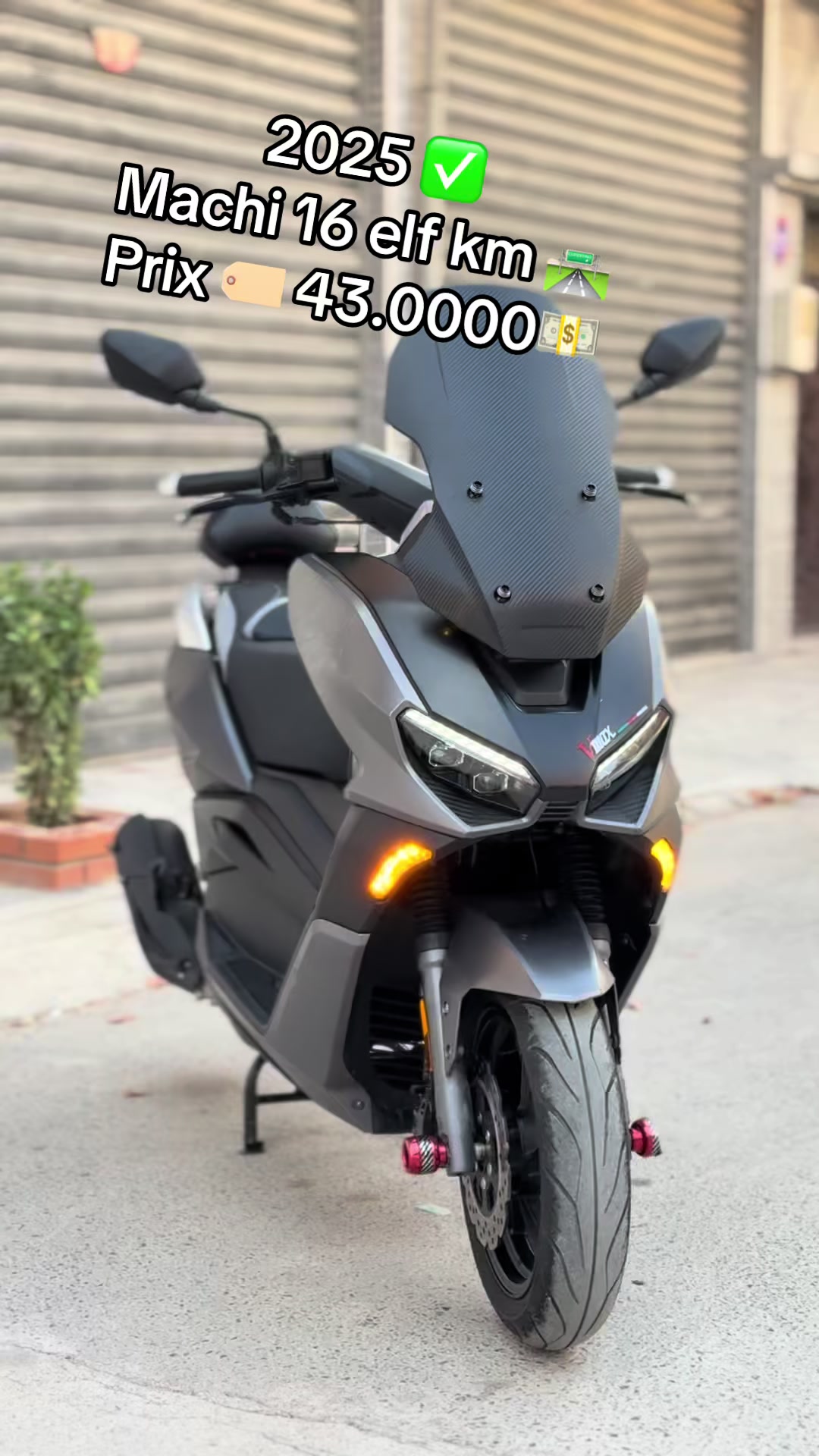 @Big Boy Moto